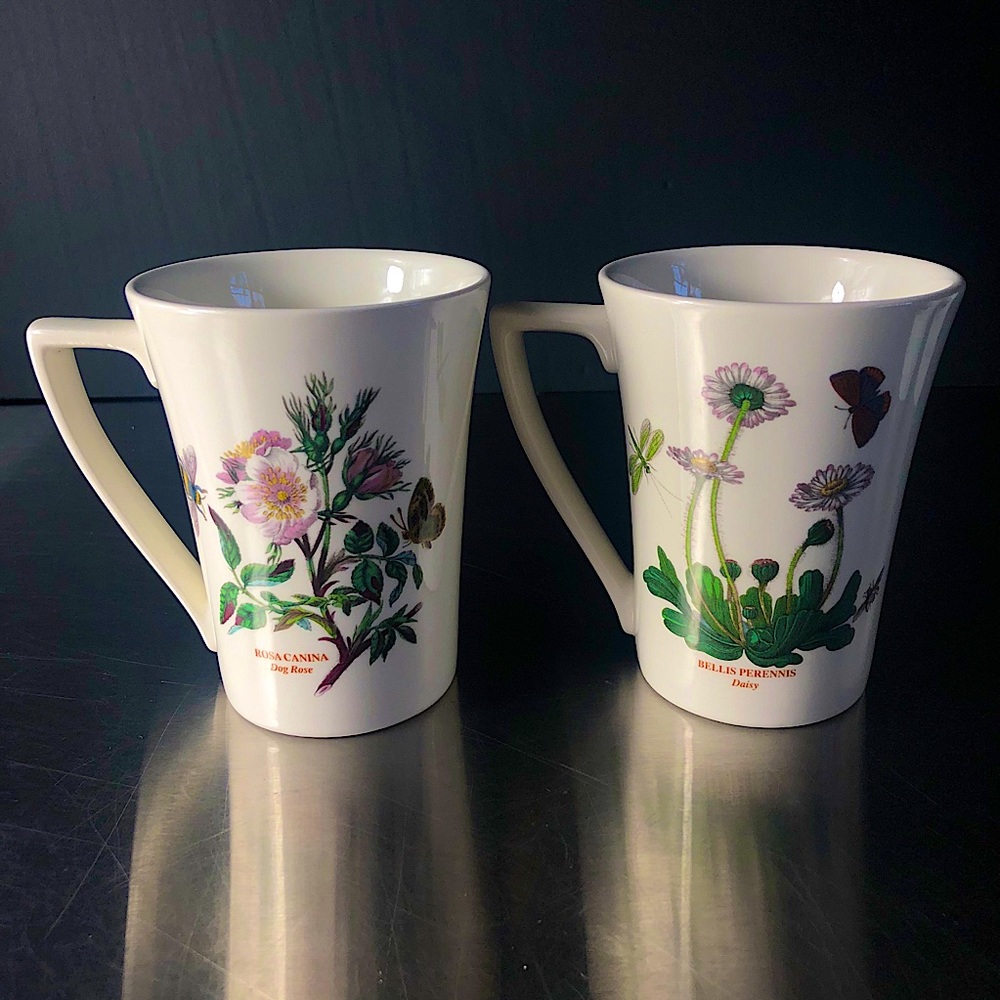 Set of 2 PORTMEIRION botanic garden Porcelain Mugs